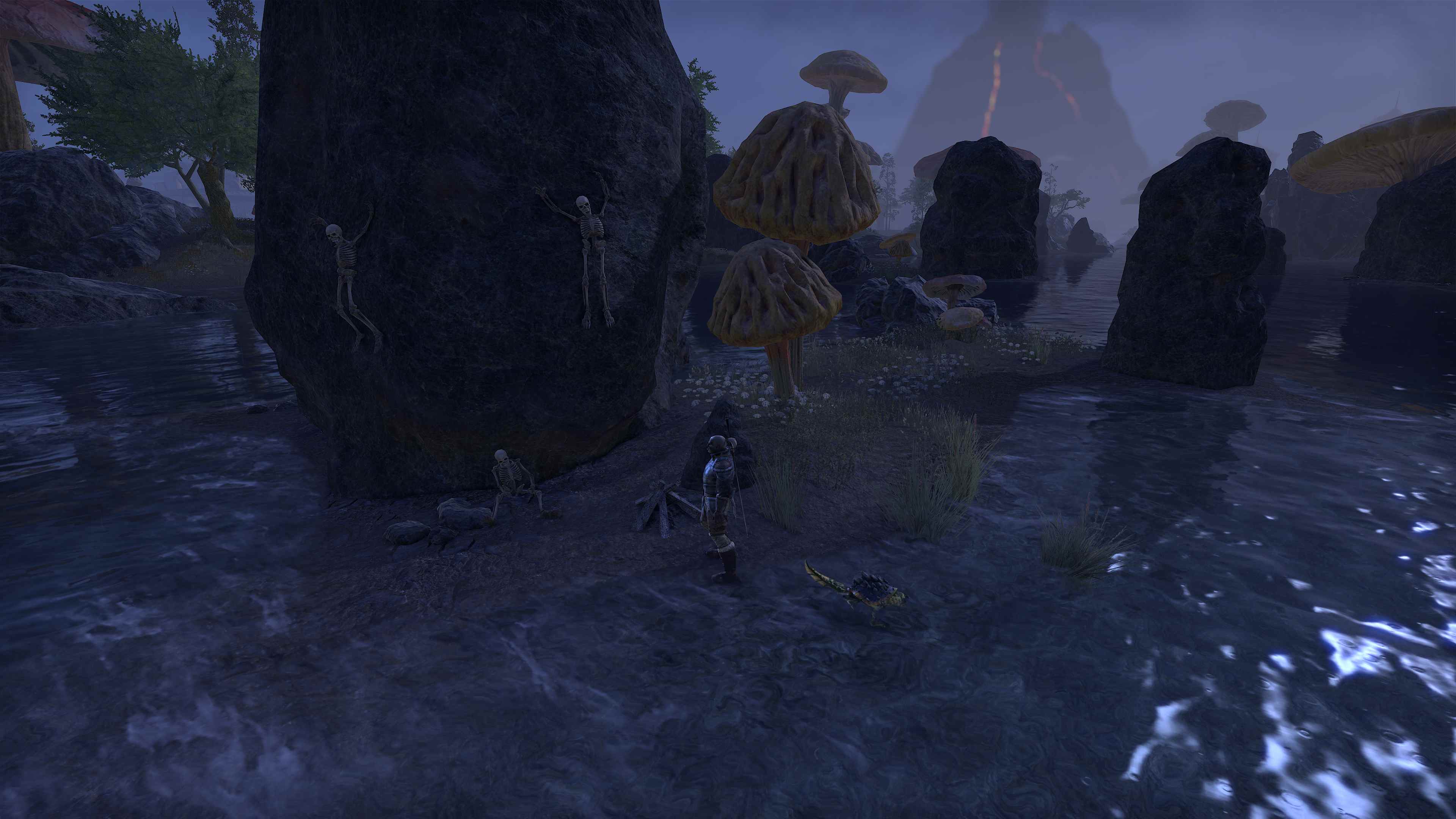 Screenshot_20201213_235542.JPG